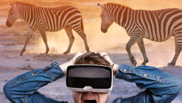 travelweek-xplrvr-webinar