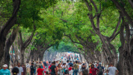 Havana get its chaotic commercial areas in order for tourists