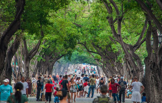 Havana  get its chaotic commercial areas in order for tourists