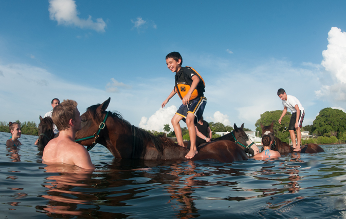 Horse surfing, anyone? Bradenton, FL is where to go to hang 10