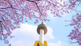 Selling Seoul: Travel Agent Tips for South Korea