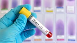 WHO: Zika no longer a global emergency