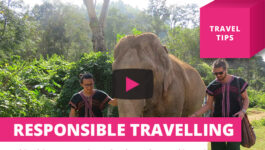 Two simple ways to be a responsible traveller – Travel Tips