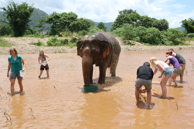 Travelers at the Elephant Nature Park in Thailand