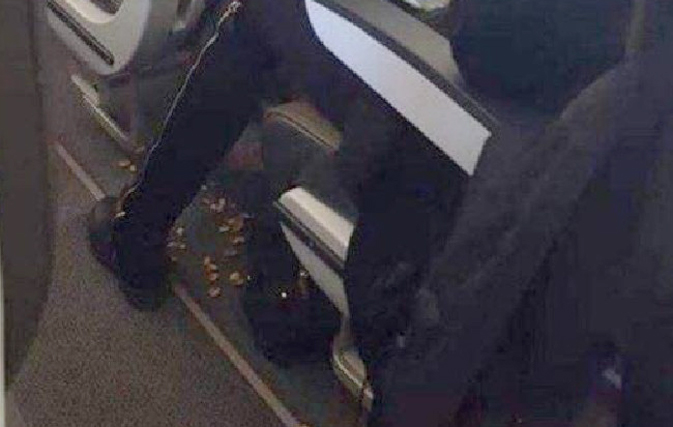 Passenger who threw nut shells on floor “belongs in a barn"