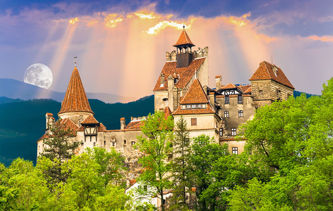 Looking for a real scare? Mama bear and cubs cut off Dracula’s castle to tourists