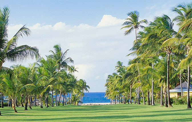 Nisbet Plantation Club to stay open in September with 50% savings