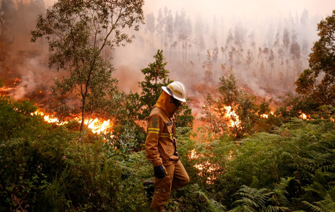 Portugal's deadliest fire still rages after 62 people killed