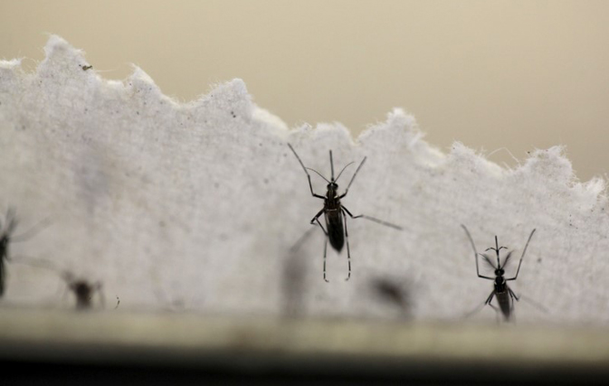 Puerto Rico declares Zika outbreak over, travel warning remains