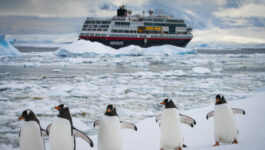 Swan Hellenic’s agent incentive offers 9-day Antarctica cruise as grand prize