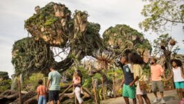 First Pandora, now Star Wars: Disney’s flying high with rapid parks expansion