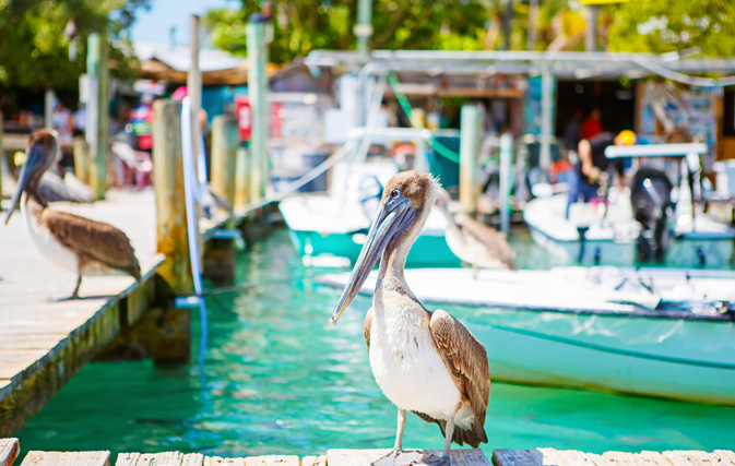 Small but welcome increase in number of Canadians heading to Florida