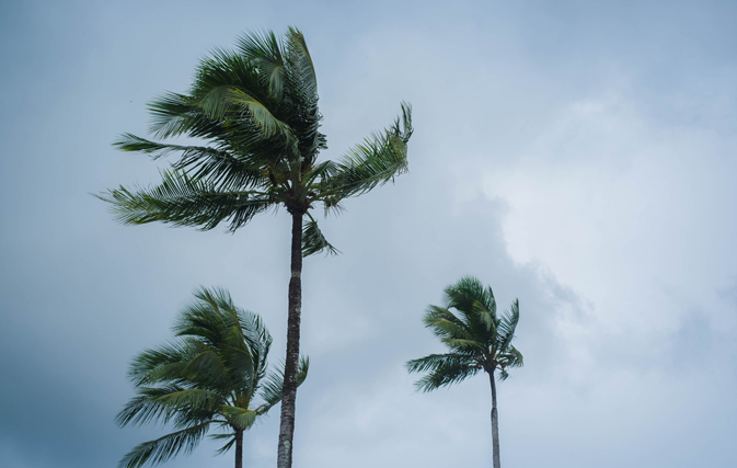 CTO issues island-by-island damage report in the wake of Irma as Floridians flee