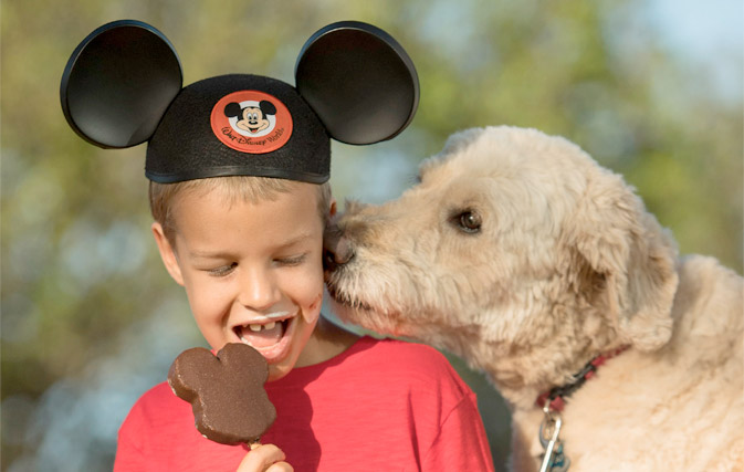 Goofy is no longer in the dog house; 4 Disney hotels are accepting dogs in pilot program