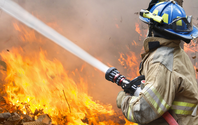 Wildfires damage California's famed wine country