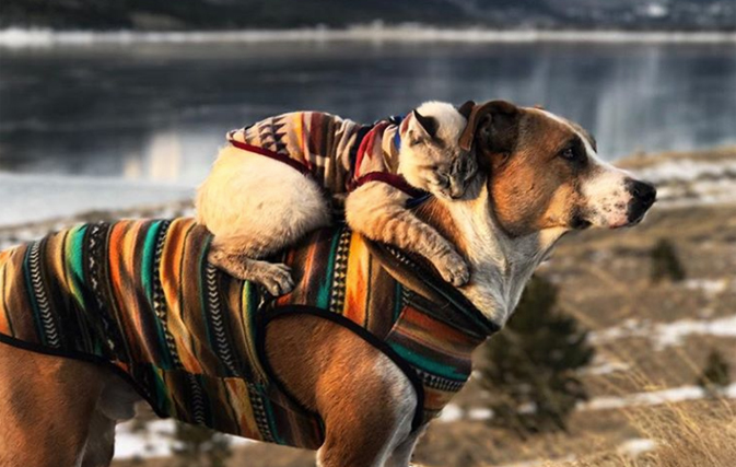 Is this the cutest travelling duo in the history of the world?