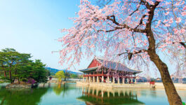Korea drops pre-departure COVID-19 testing as of Sept. 3, 2022