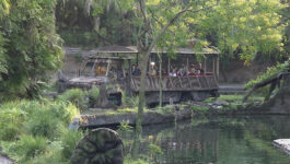 Disney’s Animal Kingdom kicks off 20th anniversary festivities on Earth Day