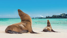 Goway promotes new brochure with Galapagos cruise contest