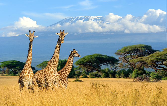 Agent rates for Kenya, Tanzania safaris with Goway