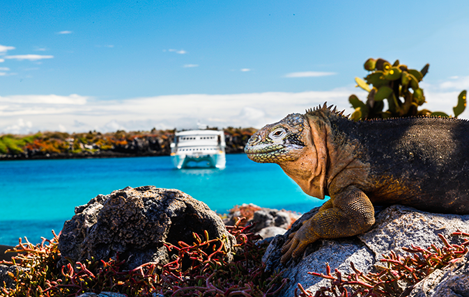 Clock’s ticking on Avalon’s Europe, Asia, Galapagos EBBs