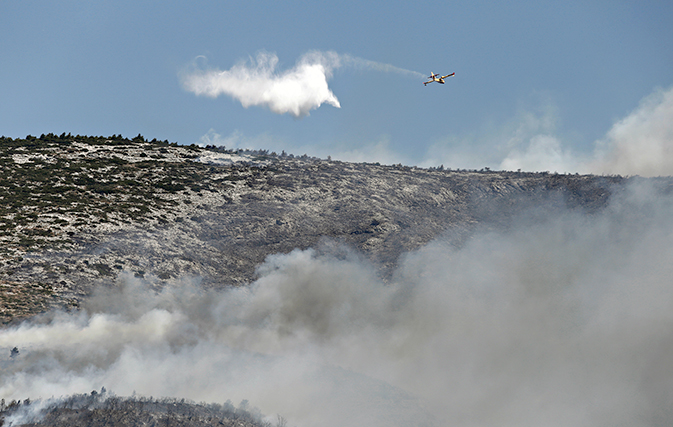 Twin wildfires near Athens kill 20, gut vacation resorts