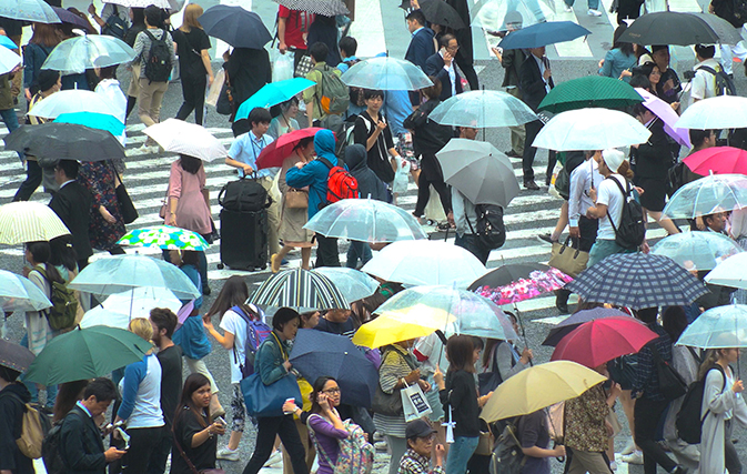 Flights cancelled as Typhoon Shanshan heads toward Tokyo