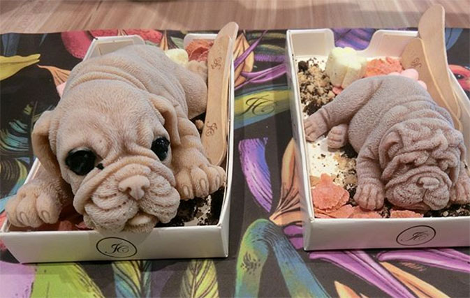 Puppy-shaped ice cream is flying off shelves in Taiwan