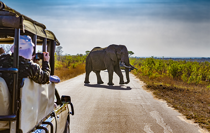 These are the 4 new trips featured in Contiki’s new 2019 Africa program