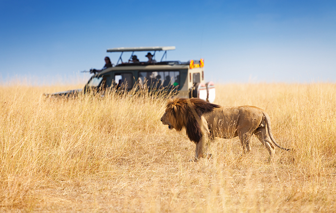 “Travellers get closer” on GLP’s Kenya safari tours