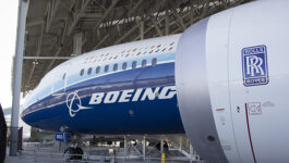 Boeing's checklist of 737 Max fixes grows with wiring issue