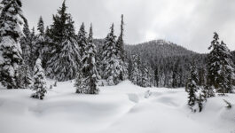 Two day storm departs B.C., but leaves flooded roads, avalanche danger behind