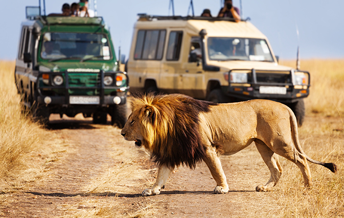 Here are TTC’s 2019 Top 10 Journeys of a Lifetime