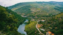 Cruise ship arrives to Porto by the river Douro