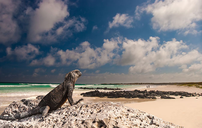 Win a trip for two to the Galapagos with Exodus