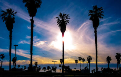 New for 2020: Margaritaville Island Resort San Diego - Travelweek