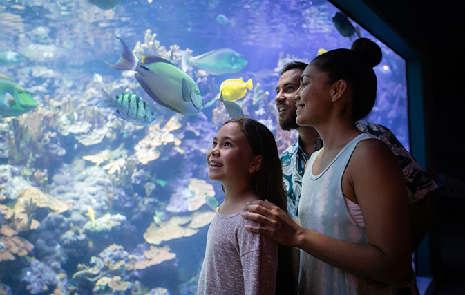 Maui-Ocean-Center-Named-Among-Top-10-Aquariums-in-the-World-3