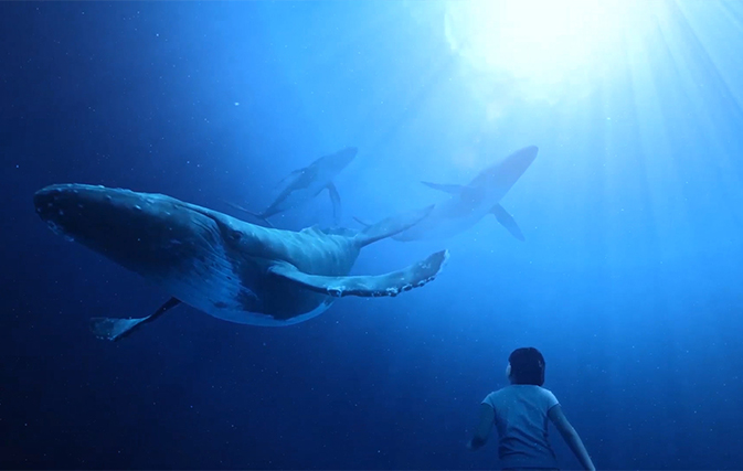 Maui-Ocean-Center-Takes-Virtual-Plunge-into-Underwater-World-of-Hawaiis-Humpbacks