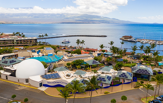 Maui-Ocean-Center-Takes-Virtual-Plunge-into-Underwater-World-of-Hawaiis-Humpbacks_4