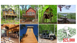 An-entire-treehouse-resort-in-Maine-is-up-for-grabs-3