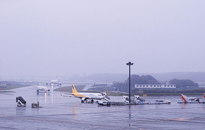 JAL, ANA flight groundings ahead of Typhoon Hagibis