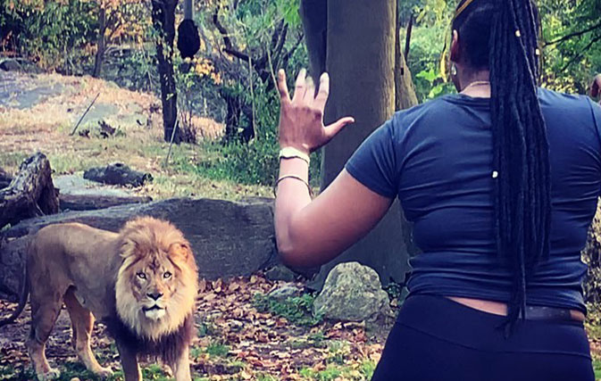 Watch-this-woman-climb-over-a-fence-to-taunt-a-lion-at-the-Bronx-Zoo