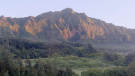 HawaiiTips_Video_Cover
