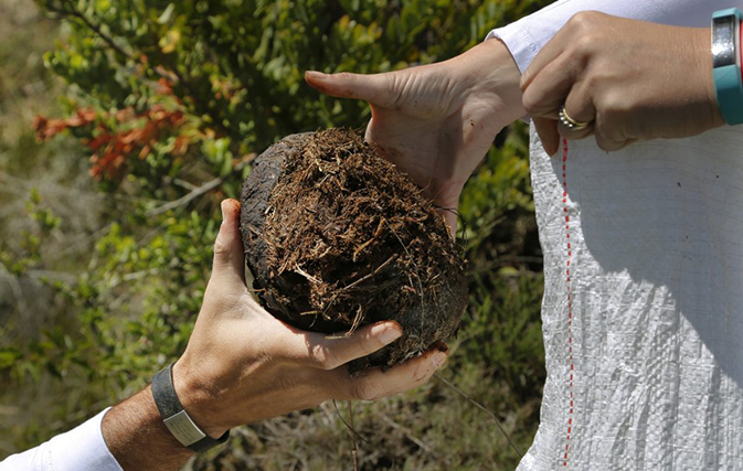 You-can-sip-gin-made-from-elephant-dung-in-South-Africa-4