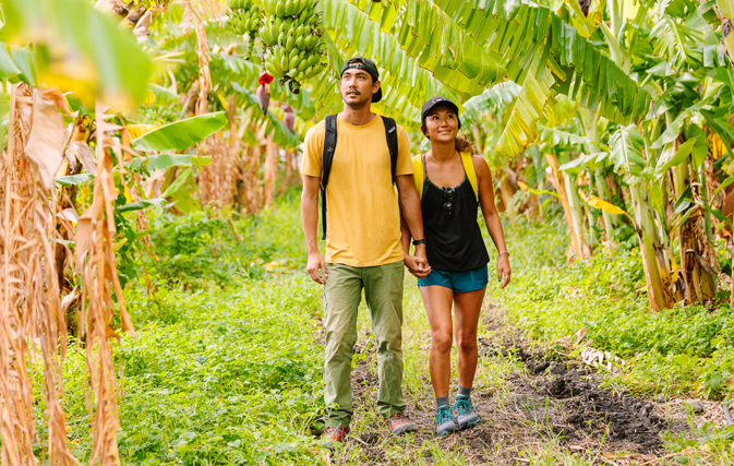 Take-a-hike-with-Hawaii-Forest-and-Trails-volcano-excursion