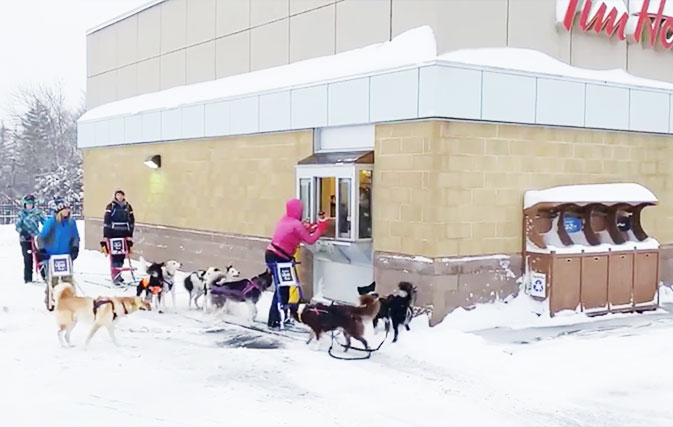 Dogsledders-were-seen-mushing-their-way-through-Tim-Hortons-drive-thru