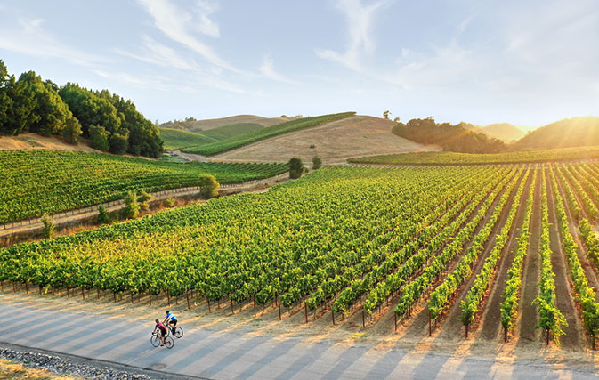 Top 5 reasons to book Sonoma County this spring - Travelweek