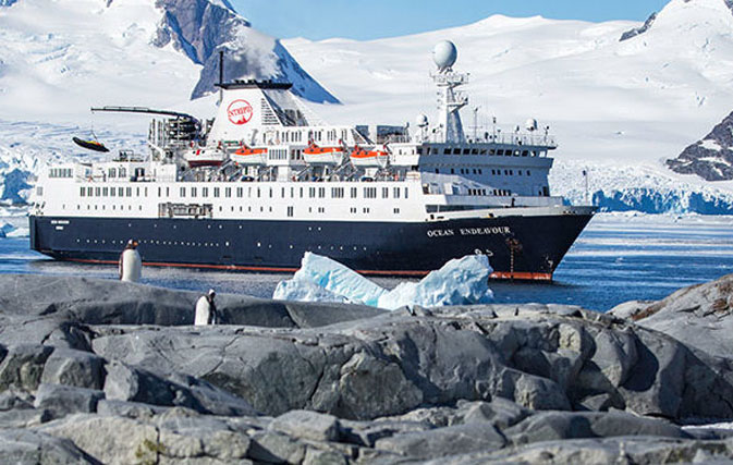 Intrepid launches limited-time Antarctica sale