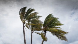 Tropical Storm Nicole bears down on the Bahamas, Florida