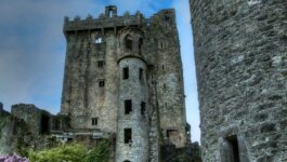 Tourism Ireland webinar